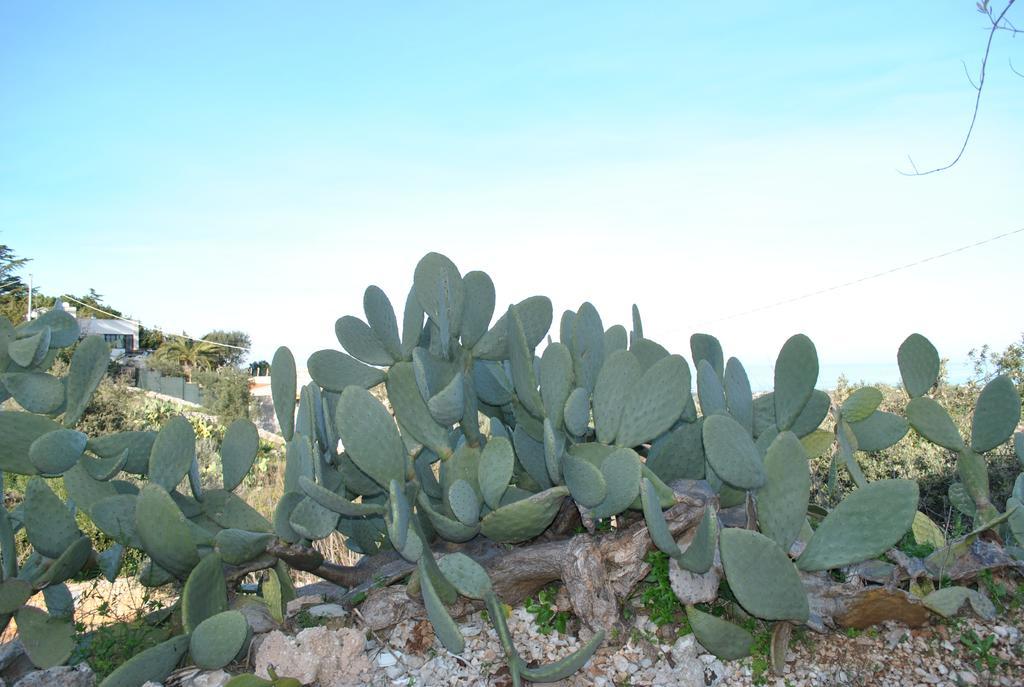 Le Dimore Del Sarto Polignano A Mare Exterior foto