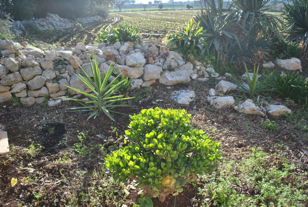 Le Dimore Del Sarto Polignano A Mare Exterior foto