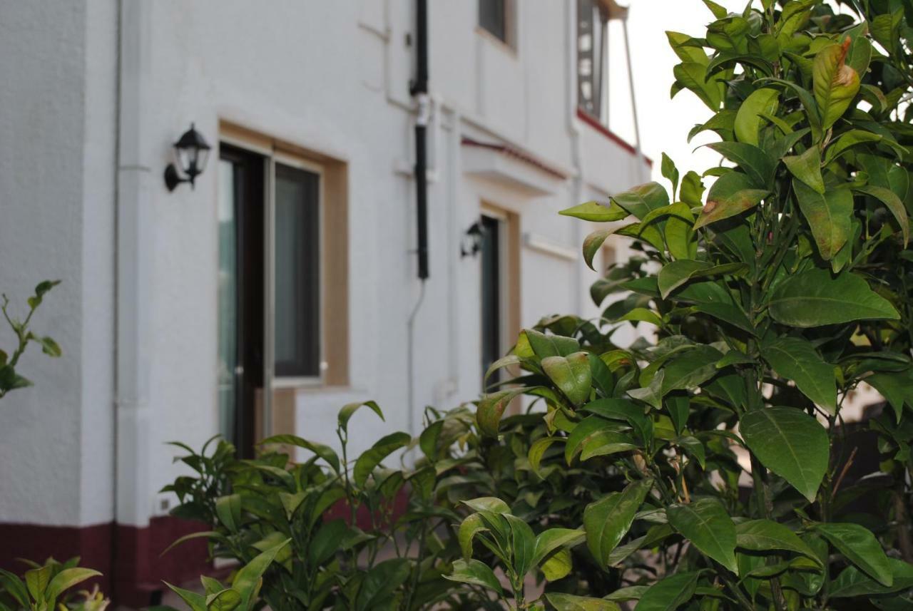 Le Dimore Del Sarto Polignano A Mare Exterior foto